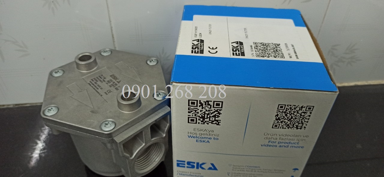 gas filter DN25 ESKA